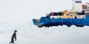 Le navire russe bloqué en Antarctique se libère des glaces