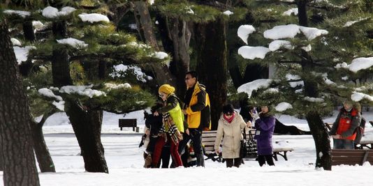 Tempête de neige au Japon : 5 morts et plus de 600 blessés