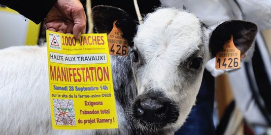 Action contre la ferme des « Mille vaches » : quatre militants en garde à vue