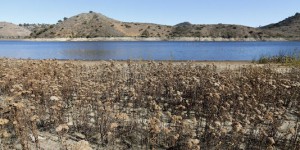 Malgré la sécheresse en Californie, 4000 privilégiés ont accès à une eau gratuite et illimitée