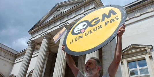 OGM : la relaxe des faucheurs de Colmar mise en cause