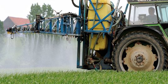Quatre questions sur l'action du gouvernement vis-à-vis des pesticides