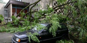 Une tempête balaie l'ouest de l'Allemagne et fait plusieurs morts