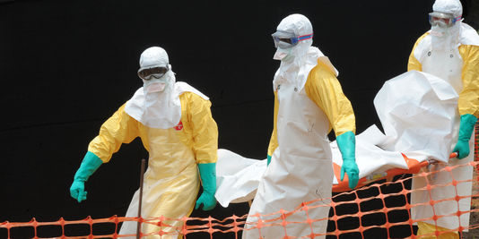Ebola : « En l'absence d'un vaccin, la conception d'un traitement est la priorité »
