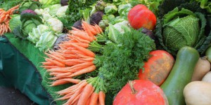 Les fruits et légumes bio, plus riches en antioxydants