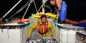 Pêche en eau profonde : la France accusée d'avoir menti