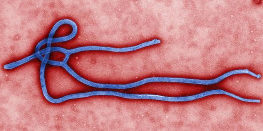 Un premier cas d'Ebola détecté dans la capitale de la Sierra Leone