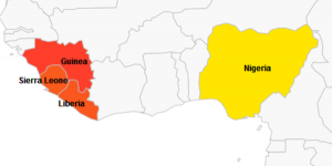 Ebola : plus de 1 000 morts dans quatre pays