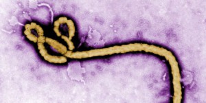 Ebola : le premier malade rapatrié en Espagne