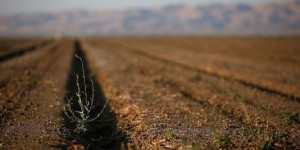 L'Ouest américain s'élève sous l'effet de la sécheresse