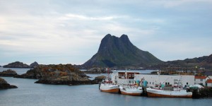 Saison record de chasse à la baleine en Norvège