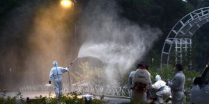 Vingt-deux cas autochtones de dengue au Japon