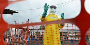 Ebola : un vaccin expérimental validé par les essais sur des singes