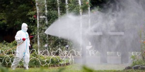 L'épidémie de dengue progresse au Japon