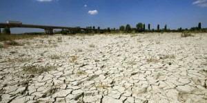 Climat : « Les Européens ont tout à perdre à ne pas se mettre d'accord maintenant »