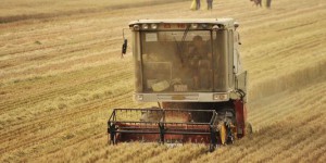 Embargo russe : Bruxelles puise dans la réserve de crise de la PAC pour aider ses agriculteurs