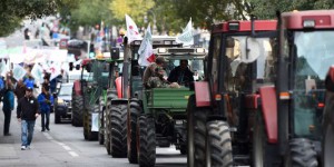 Des agriculteurs ont maltraité des ragondins durant la manifestation à Nantes