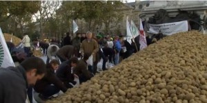 Les agriculteurs se mobilisent, fruits et légumes gratuits à Paris