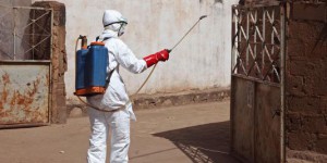 Ebola : premier cas de guérison au Mali