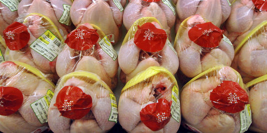 En Grande-Bretagne, 70 % du poulet contaminé par la bactérie « Campylobacter »