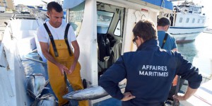 Les quotas de pêche de thon rouge en Méditerranée relevés pour trois ans