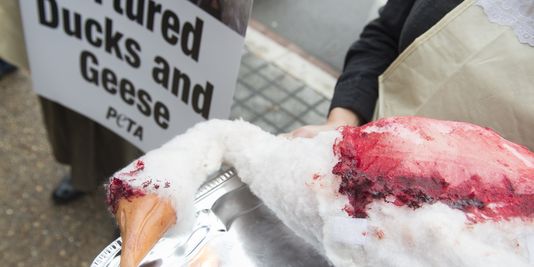 La bataille du foie gras aux Etats-Unis est-elle la bonne ?