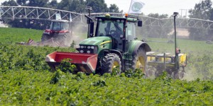 L'Union européenne s'ouvre à la culture des OGM