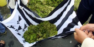 Lutte conte les algues vertes, l'Etat débouté en appel