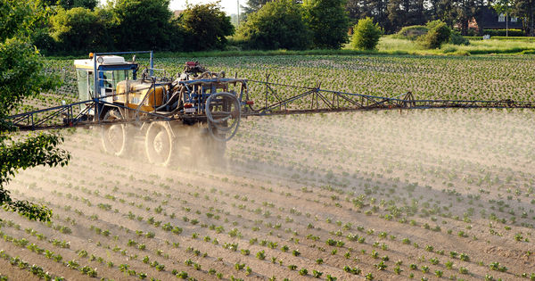 Stéphane Le Foll veut réduire l'usage des pesticides de 50 % en 10 ans