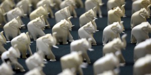Sous le feu des critiques, la Chine interdit l'importation d'ivoire sculpté pendant un an