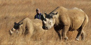 Un chasseur texan obtient finalement son permis de chasser un rhinocéros noir