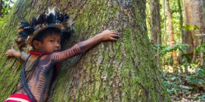 Ce chef indien qui combat la déforestation au prix de sa vie