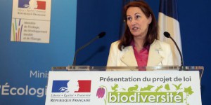 Les députés apportent les premières retouches au projet de loi sur la biodiversité