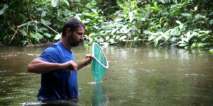 Objectif Mitaraka, épisode 7 : des ichtyologues dans la jungle