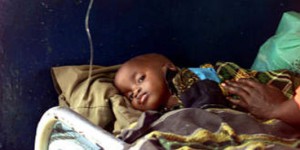 Le paludisme tue plus de 500 000 personnes par an