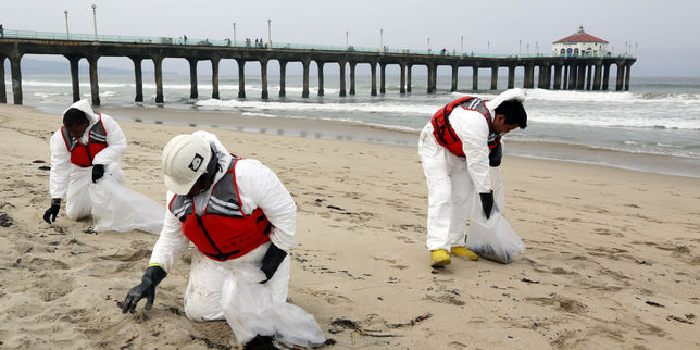 Etats-Unis : Plusieurs plages fermées près de Los Angeles après une nouvelle marée noire