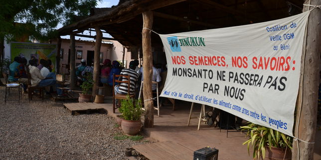 Manifestation au Burkina Faso contre les OGM de Monsanto