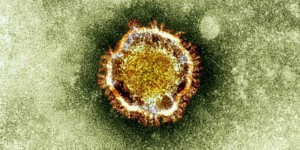 Dix questions sur le MERS-Coronavirus