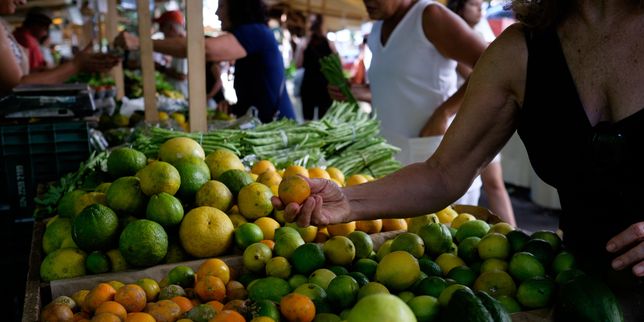 Le Brésil pourrait devenir le premier fournisseur mondial de produits alimentaires