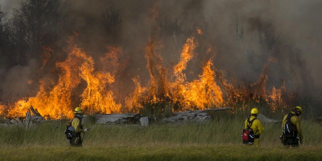 Etats-Unis : L’Etat de Washington fait face aux incendies les plus ravageurs de son histoire