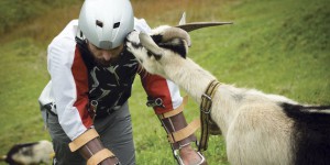 Vis ma vie de chèvre : « paisible et calme », selon le testeur