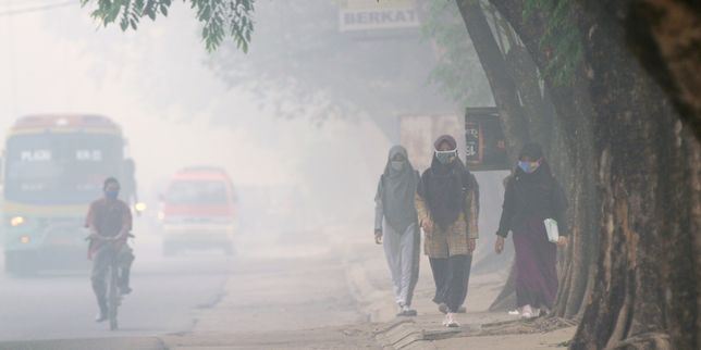 Greenpeace alerte avec des images de drone sur les incendies en Indonésie