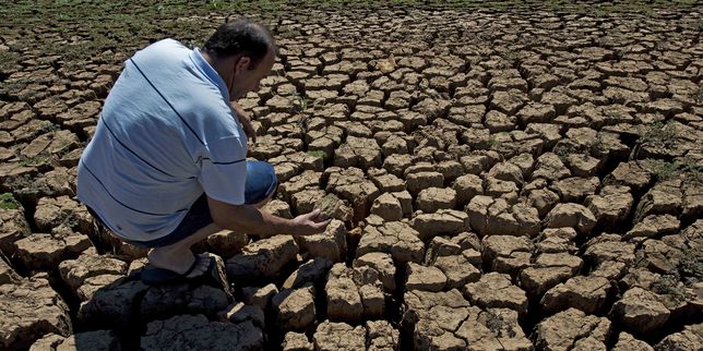 La multiplication des catastrophes climatiques met à mal la sécurité alimentaire dans les pays du Sud