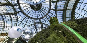 Un « arbre de la fraternité » sous les verrières du Grand Palais pour la COP21