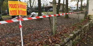Grippe aviaire : les oiseaux et les œufs de Dordogne interdits d’exportation