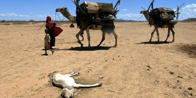 La « pire sécheresse depuis 50 ans » en Ethiopie