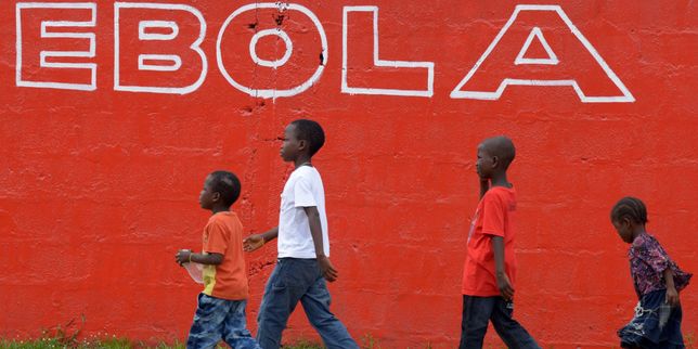 « Il faudra encore quelques mois pour qu’Ebola soit éliminé de la population des survivants »
