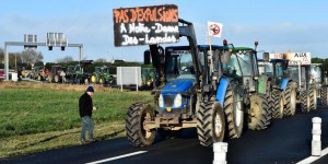 NDDL : le TGI de Nantes examine la demande d’expulsion des familles et agriculteurs