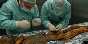 Ötzi, homme des glaces vieux de 5 300 ans, était infecté par une bactérie « asiatique »