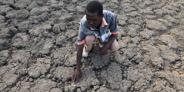 Un demi-milliard de personnes dans le monde manquent cruellement d’eau